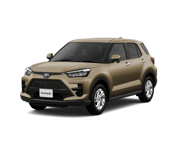 ライズGグレード